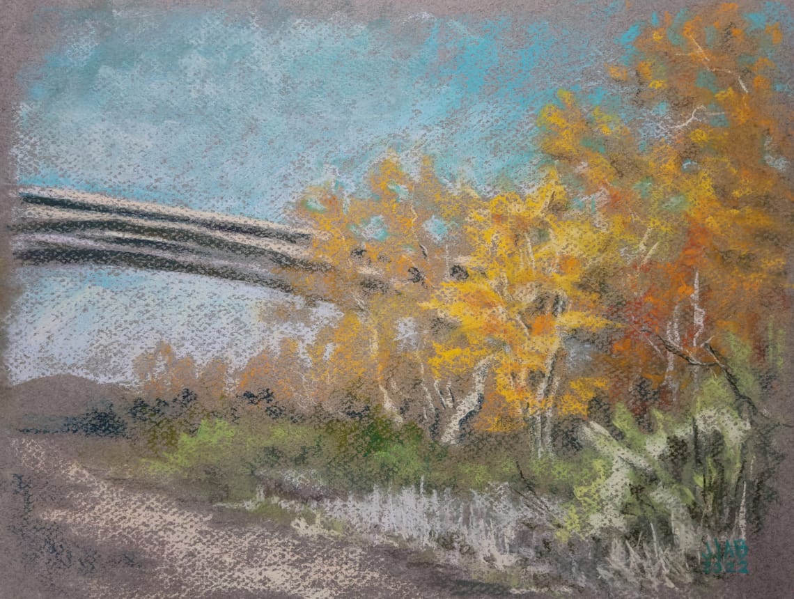 Mission Trails