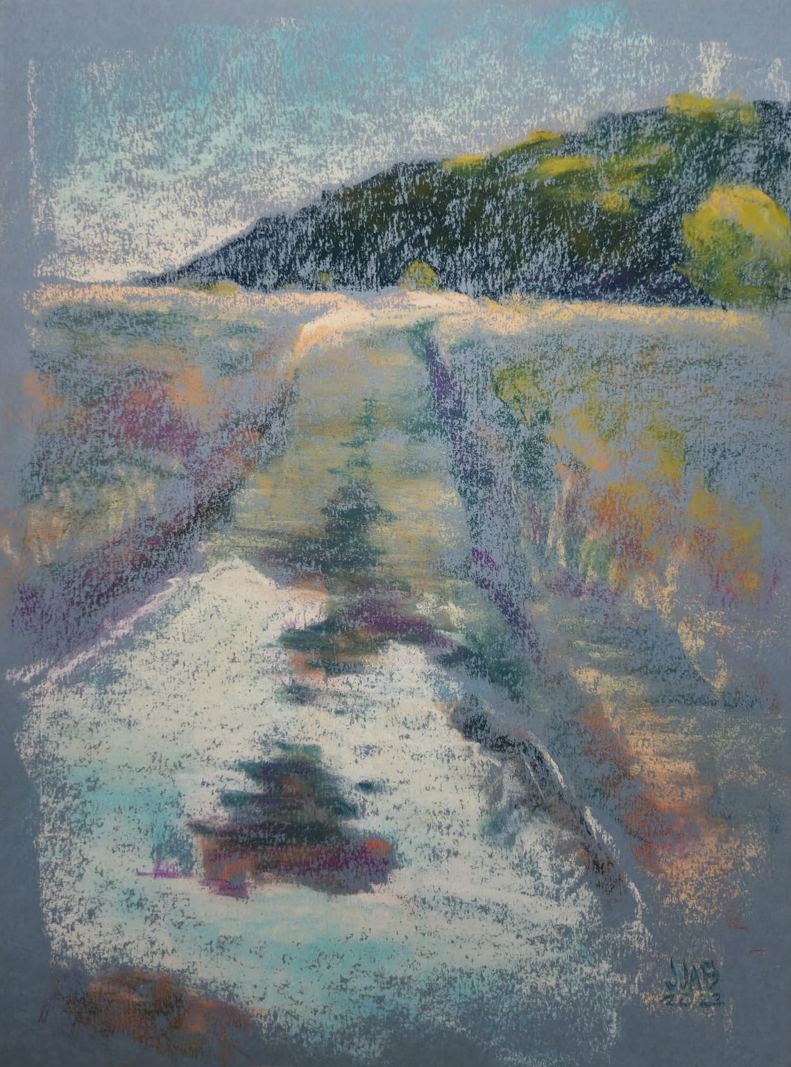 Trail Puddle