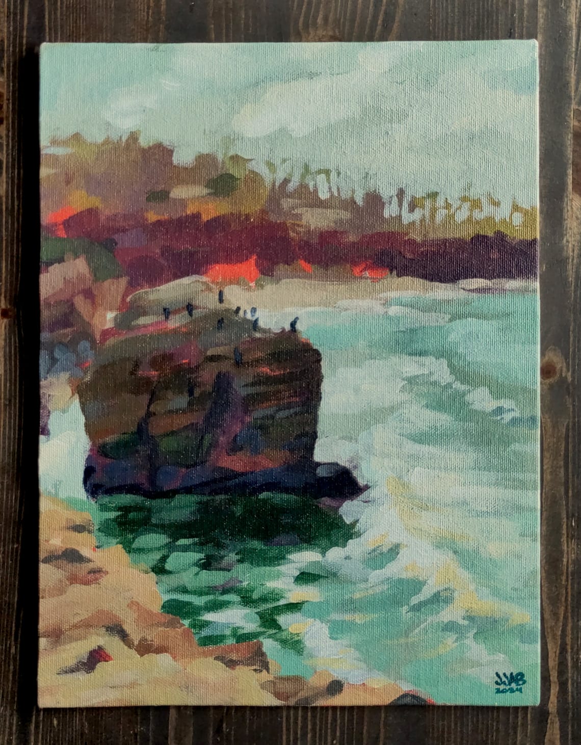 Sunset Cliffs Cormorants