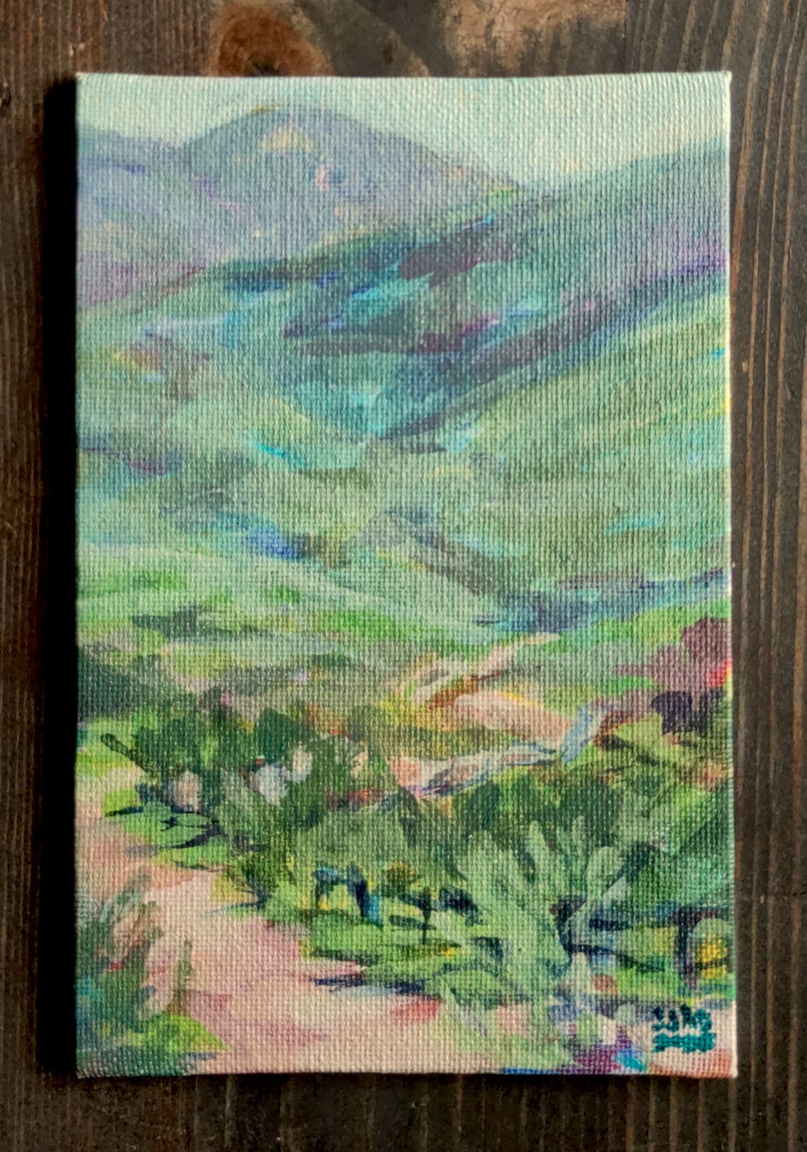 Mission Trails