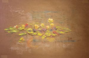Water Lilies