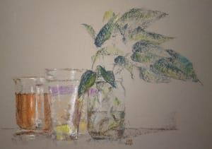 Water & Glass