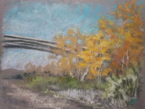 Mission Trails