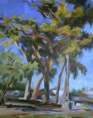Pioneer Park