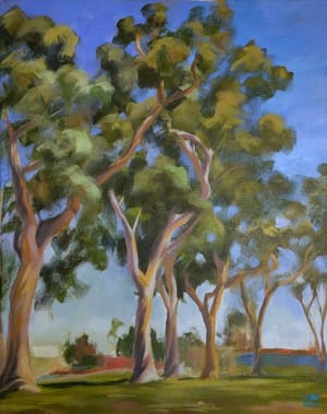 Pioneer Park