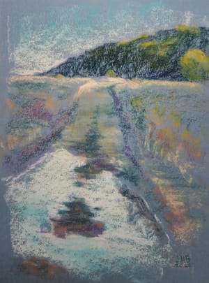 Trail Puddle