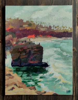 Sunset Cliffs Cormorants
