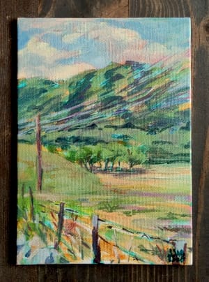 Lake Henshaw Meadow